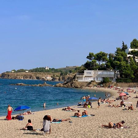 Maison De Flo Centre Historique Argeles Sur Mer Екстер'єр фото